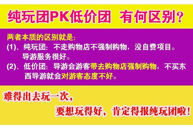 新澳天天开奖资料大全旅游团｜精选解释解析落实
