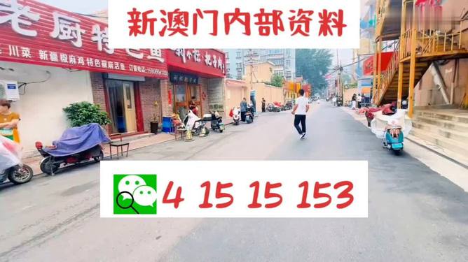 2024澳门天天开好彩大全｜精选解释解析落实